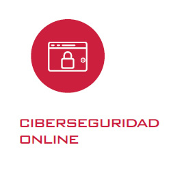 Ciberseguridad Online